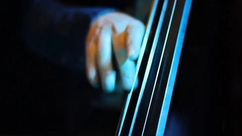 Close-up Of A Man Playing The Bass Stock-Footage 127517493