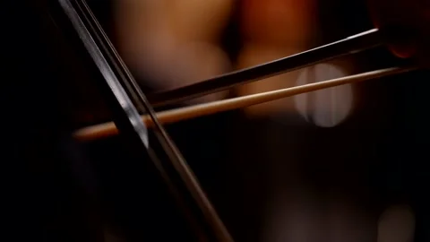 Close-up of a man playing the double bass. A male musician playing a classical Vídeo Stock 219467103