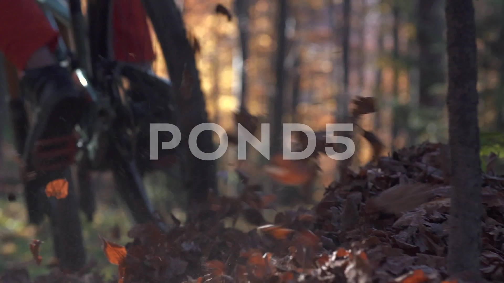 Close up of man riding MTB through forest leaves, mountain bike trail  downhill