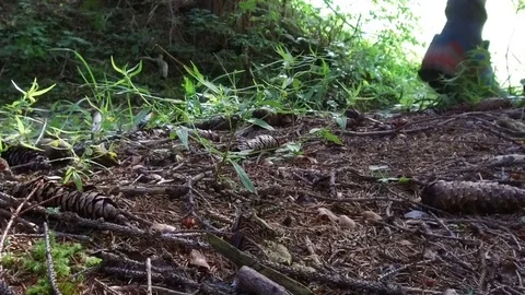 Close up man running in forest, Alta Badia Video stock 79639631