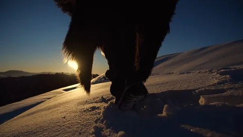 Close up Man runs on snow to sunset, Carpathian mountains, Ukraine Video stock 127350373