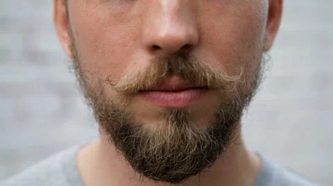 Close up man 's face with a beard and mustache Stock Footage 67311227