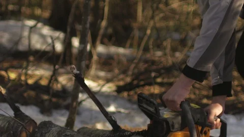 Close-up, man sawmill saws a tree in winter forest Stock Footage 90799369