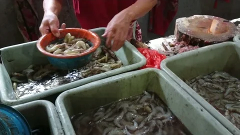 Close up of man selling fresh fish at traditional seafood market. Stock Footage 217435011