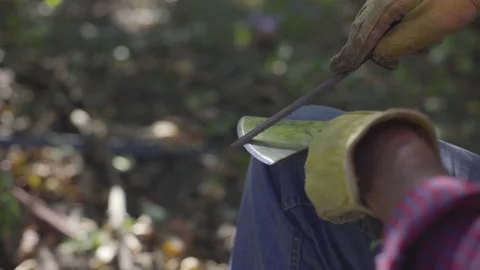 Close up of a Man Sitting Outside and Sharpening the Blade of His Hatchet Stock-Footage 208750520