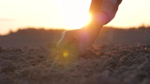 Close Up Of Man Taking Dusty Earth With His Hand At Sunset In Field Stock Footage 251575134