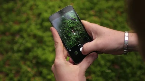 Close-up, man taking pictures of moss in the forest on phone Video stock 90925497