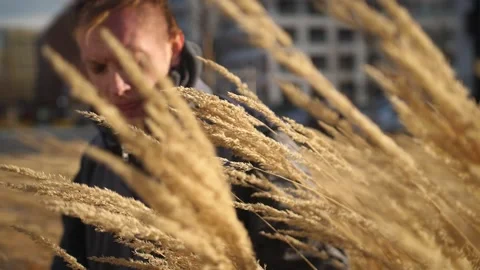 A close-up of a man through wheat. Windy weather Stock Footage 164914927