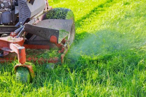 Close up of man using a lawn mower a gardener cutting grass by lawn mower Foto stock