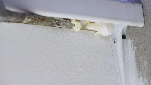 Close-up of a man using a mounting foam material from a pistol under pressure Stock Footage 118373038