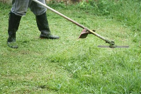 Close up  man is using mowing machine to mow the lawn Stock Photos