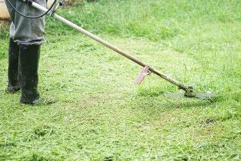Close up  man is using mowing machine to mow the lawn in his garden. Stock Photos