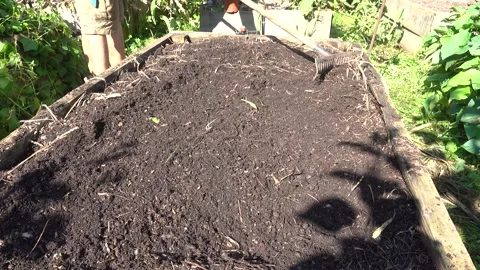 Close up of a man using a rake to level fertile soil in a wooden raised bed Stockbeeldmateriaal 339355446