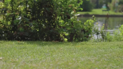 Close up of a man walking on grass, with barefoot Stock-Footage 269428580