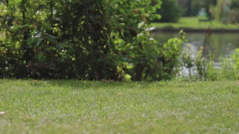 Close up of a man walking on grass, with barefoot Video stock 269428957