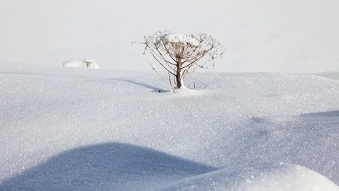 Close up man walking in the high snow Stock Footage 239343818