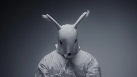 Close up of a man in white suit and rabbit mask. Crazy person. Stock Footage 148488026