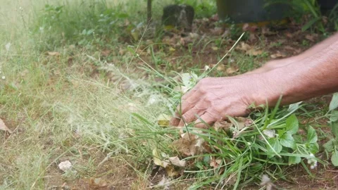 Close up of a man&amp;#039;s hands cutting grass manually using a machete Stock Footage 321978722