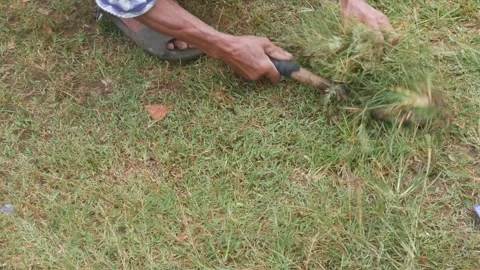 Close up of a man&amp;#039;s hands cutting grass manually using a machete Stock Footage 321978739