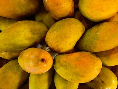 Close up of Mango Stock Photos