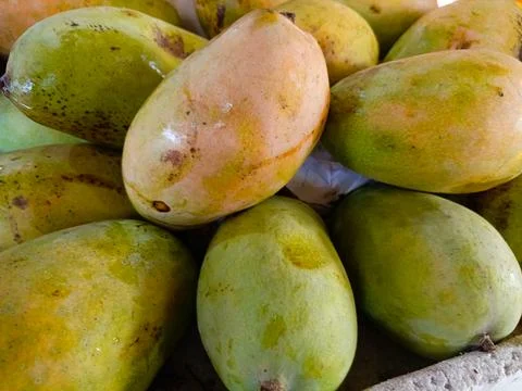 Close up of Mango Stock Photos