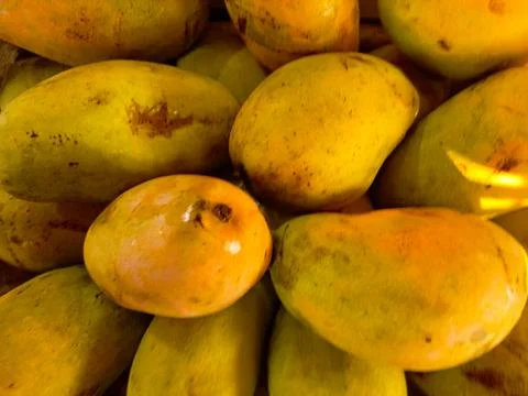 Close up of Mango Stock Photos