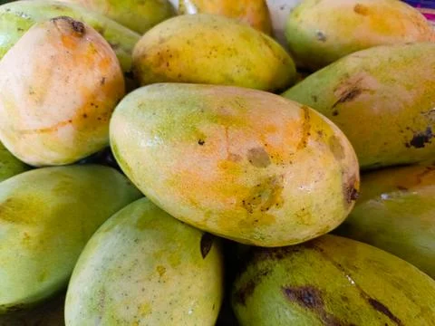 Close up of Mango Stock Photos