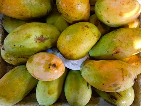 Close up of Mango Stock Photos