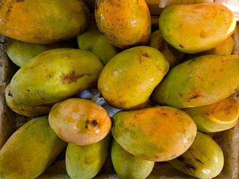 Close up of Mango Stock Photos