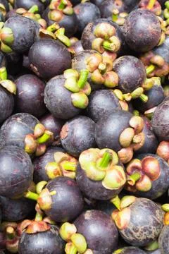 Close up mangostee Stock Photos