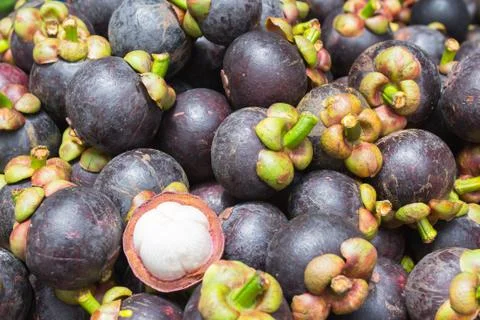 Close up mangostee Stock Photos