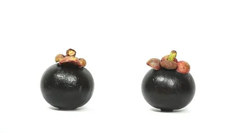 Close up mangosteen on white background 스톡 동영상 54536216