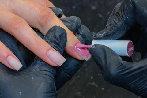 Close-up manicure process, female hands painting nails Stock Photos