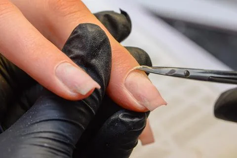 Close-up manicure process, female hands painting nails Stock Photos