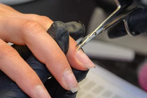 Close-up manicure process, female hands painting nails Stock Photos
