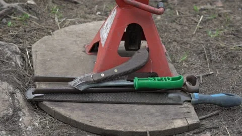 Close up of manicure tools for horses Video stock 140488874