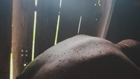 Close up of a man's back receiving a traditional parenie treatment with a birch Video stock 347295193