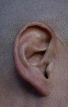 Close-up of a man's ear Stock Photos