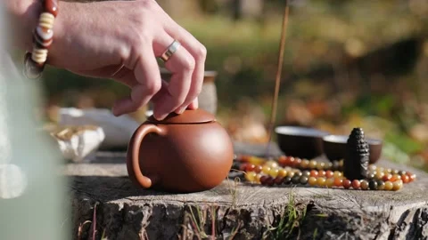 Close-up. man's hand closes the clay teapot with a lid. chinese tea ceremony Stock Footage 229858601