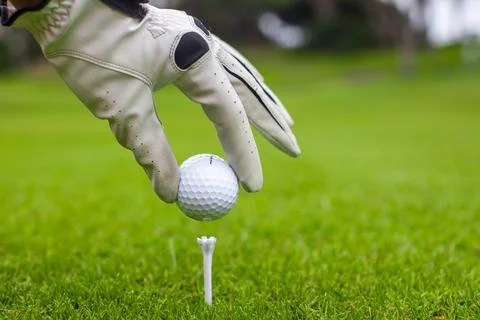 Close-up of man's Hand hold golf ball with tee on course Stock Photos