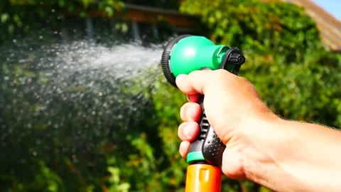 Close up of a mans hand holding a watering spray and watering the garden Stock Footage 136507106