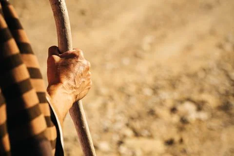 Close-up of a man's hand leaning on a stick in the field Stock Photos