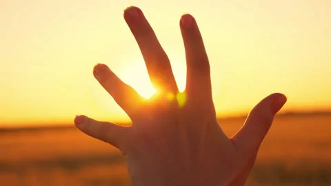 Close-up of a man's hand. The man's hand reaches for the sun. Sun glare in the 動画素材 139274058