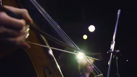 Close-up of man's hand playing contrabass at the concert. Orchestra. Stock-Footage 303407621