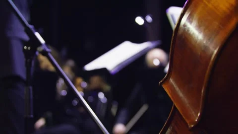 Close-up of man's hand playing contrabass with a bow at the concert. Orchestra. 스톡 동영상 303408237