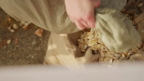 Close-up of a man's hand pouring pumpkin seeds from one bag into another bag Stock Footage 256016974