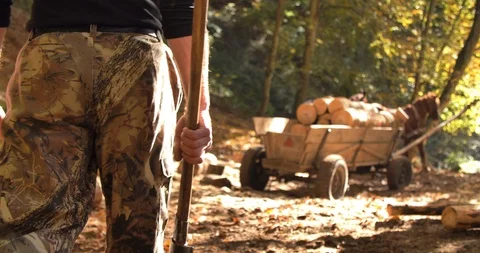Close Up of Man’s Hand Taking an Ax for Firewood Chopping. Big Horse-draw Video stock 102143135