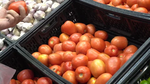 Close-up of a man's hands choosing tomatoes in the supermarket Vidéo 141012468