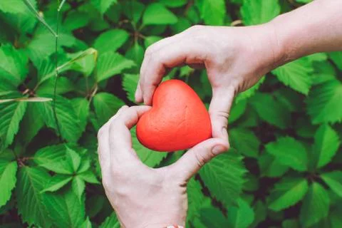 Close up of mans hands holding red heart. Relationship and love concept Stock Photos