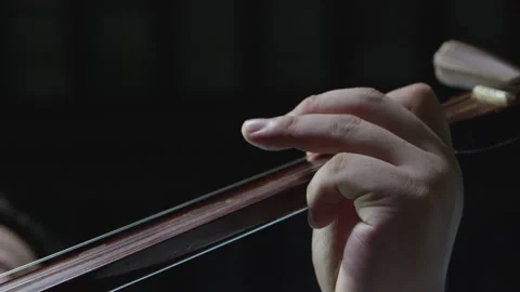 Close-Up Of Man's Hands Playing Old Vintage Lute String Instrument Stock Footage 133385313